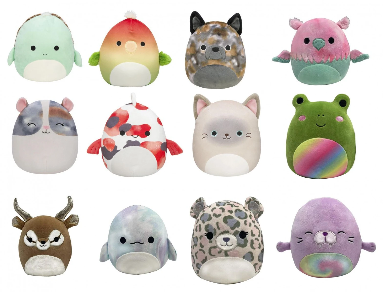 Squishmallows Plysjbamse 19cm - Froksen Doxl 4 Squishmallows Plysjbamse 19cm - Froksen Doxl - Bilde 2