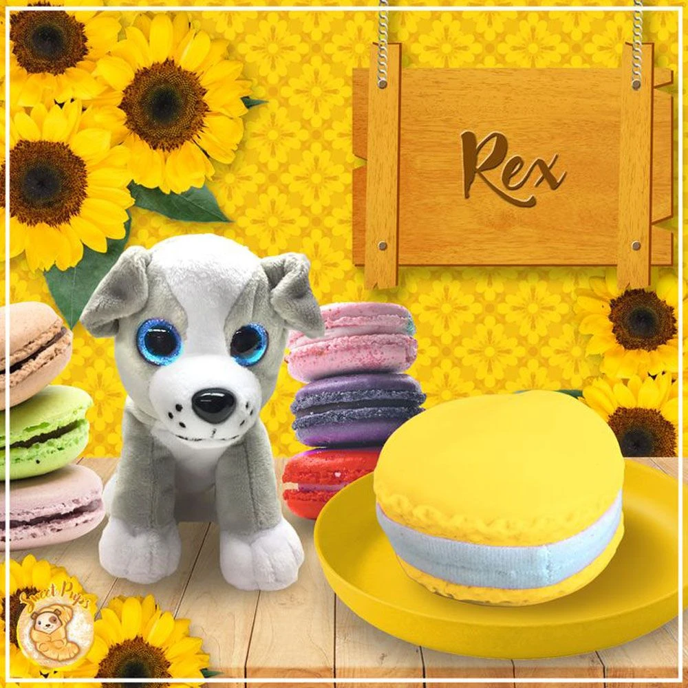 Sweet Pups - REX 4 Sweet Pups - REX - Bilde 2