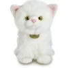 Aurora Plysj - Persisk Hvit Katt