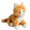 Molli Toys Plysjbamse - Oransje Kattunge 20 Cm -Cuddlebug Selger nti 882198 1 252324 h62090134