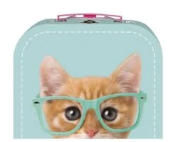 Studio Pets Plysj - Rayben 23 Cm -Cuddlebug Selger suitcase petite plush rayben 226417 h450c0cba